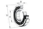 FAG cylindrical roller bearing 80x140x33mm NU2216-E-XL-M1-C3